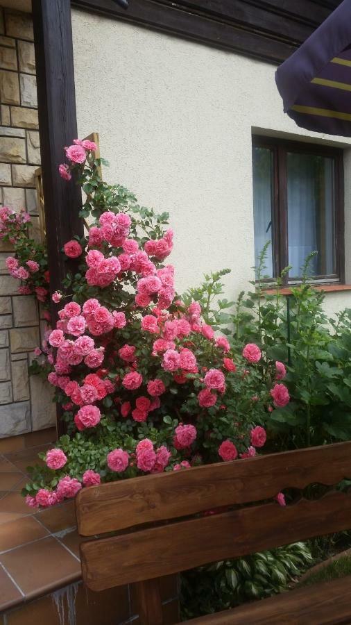 Apartament Jodlowy Szczyrk Exterior foto
